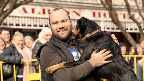 Pooches fetch a premium as dogs' day musters up record crowds