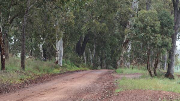 Cameras to detect drivers without seatbelts in rural WA