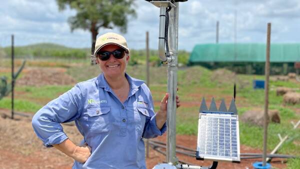 New project to improve Katherine region's drought resilience