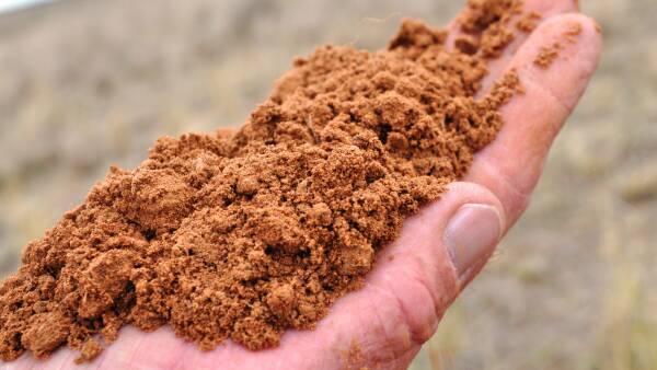 Soils to join the show judging circuit