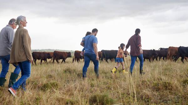 The farm succession gift that keeps on giving - a family charity fund