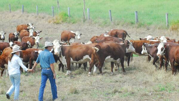Farm confidence returns for 2023 after soggy setback, but costs bite