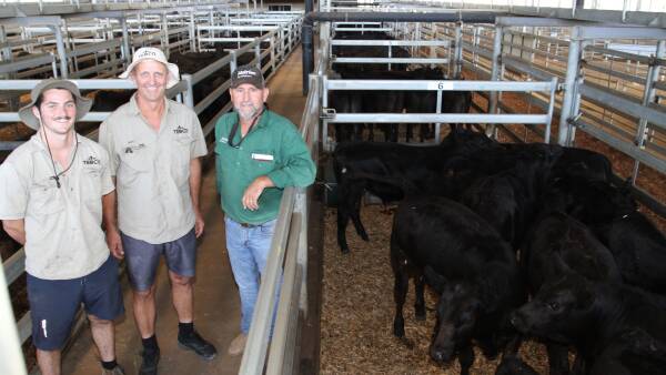 Weaners Make 1839 At Nutrien Livestocks Muchea Weaner Sale Farm Weekly Australian Country Life 8440