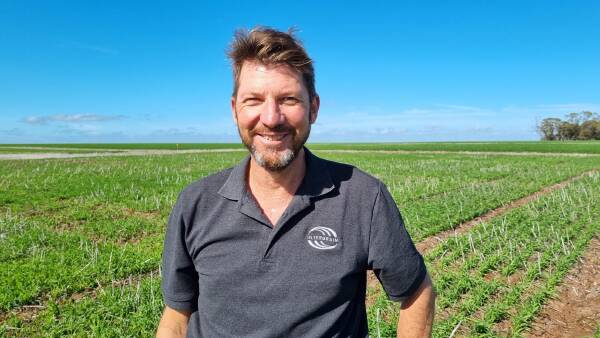 InterGrain releases new Wallaby and Kultarr oaten hay varieties | Farm ...