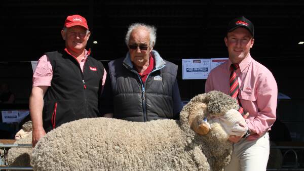 Merino and Poll Merinos deliver at Tambellup