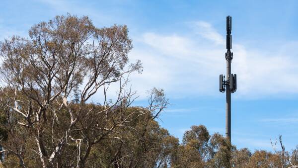 Competition watchdog cites rural harm in Telstra-TPG merger veto
