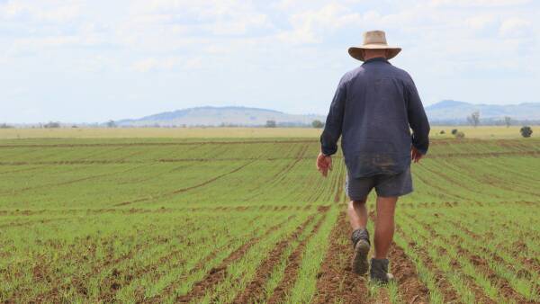 Australia-India trade in effect: what's in it for your industry