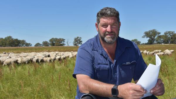 Divide in SA's eID steering committee, lamb producer ups calls for tag exemption