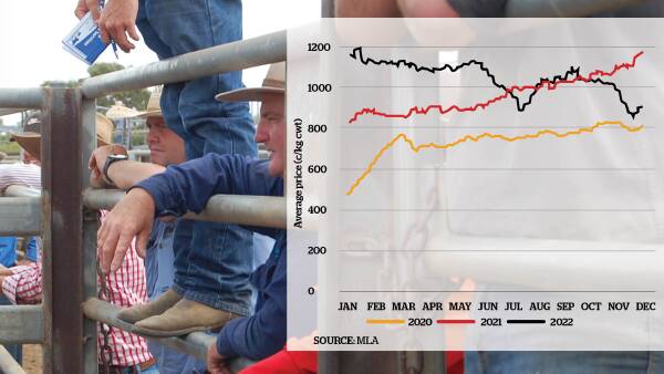 Cattle prices ease but 2022 still a record year