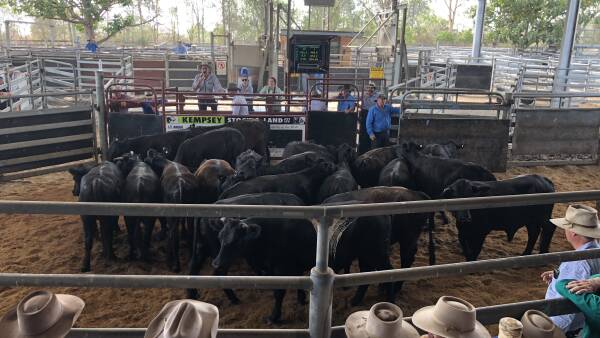 New MLA livestock indicators coming