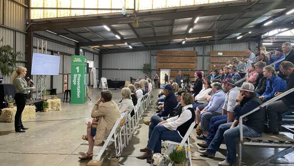 Red meat's CN30 work puts it ahead of the pack