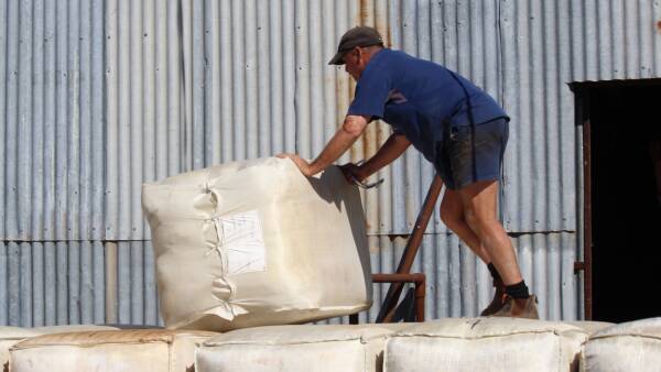 Steady production gains for the national wool industry