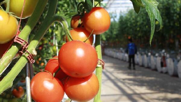 Farm eco champion sold for $70m