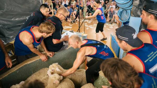 Famous NZ shearing family breaks another world record