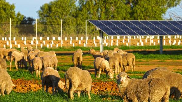 Renewables row - farms versus power politics