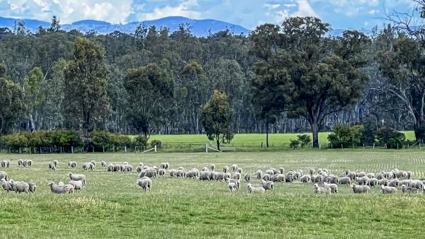 Farm auction winds up sales for well known Fothergill family
