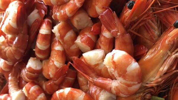 What to look for when shopping for your prawns this Christmas