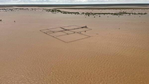 Amazing first pictures of an inland sea born in outback Australia