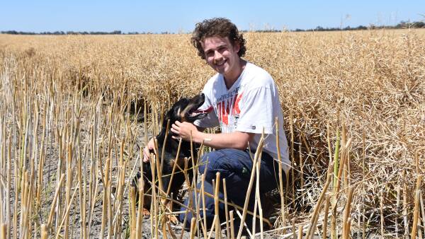 Strong harvest results despite big wet