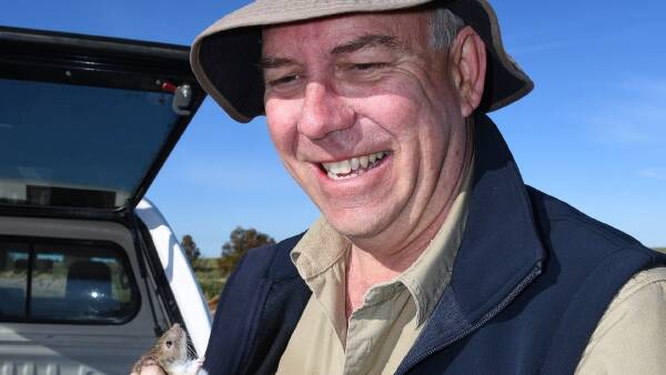 Ample food for mice a concern as numbers rise