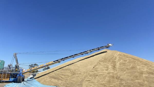 AWU hits out at GrainCorp over receivals, segregations