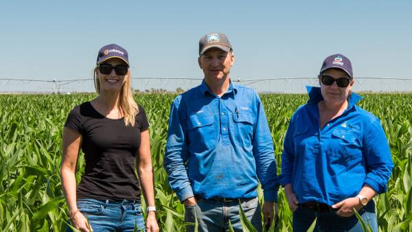 Soil initiative continues ag emissions research