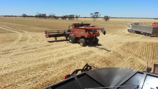 Mixed results for barley producers as west shines