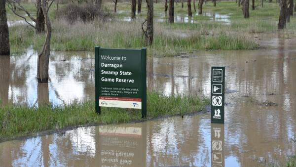 Bureau confirms 2022 25pc wetter than average season