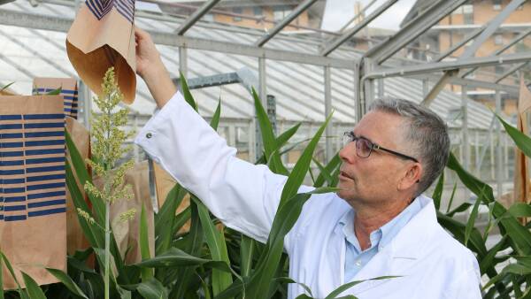 UQ signs prestigious German grain research partnership