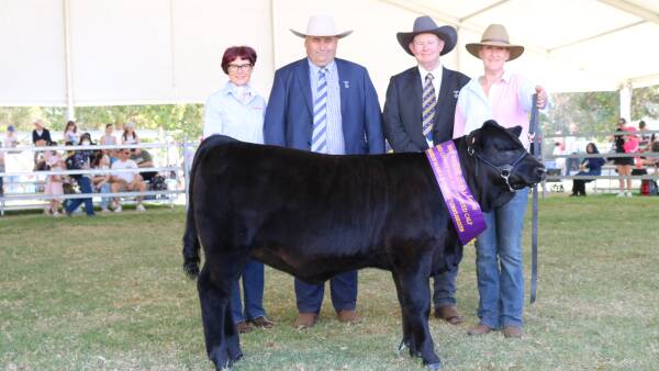 Bandeeka Blacks impress interbreed judges