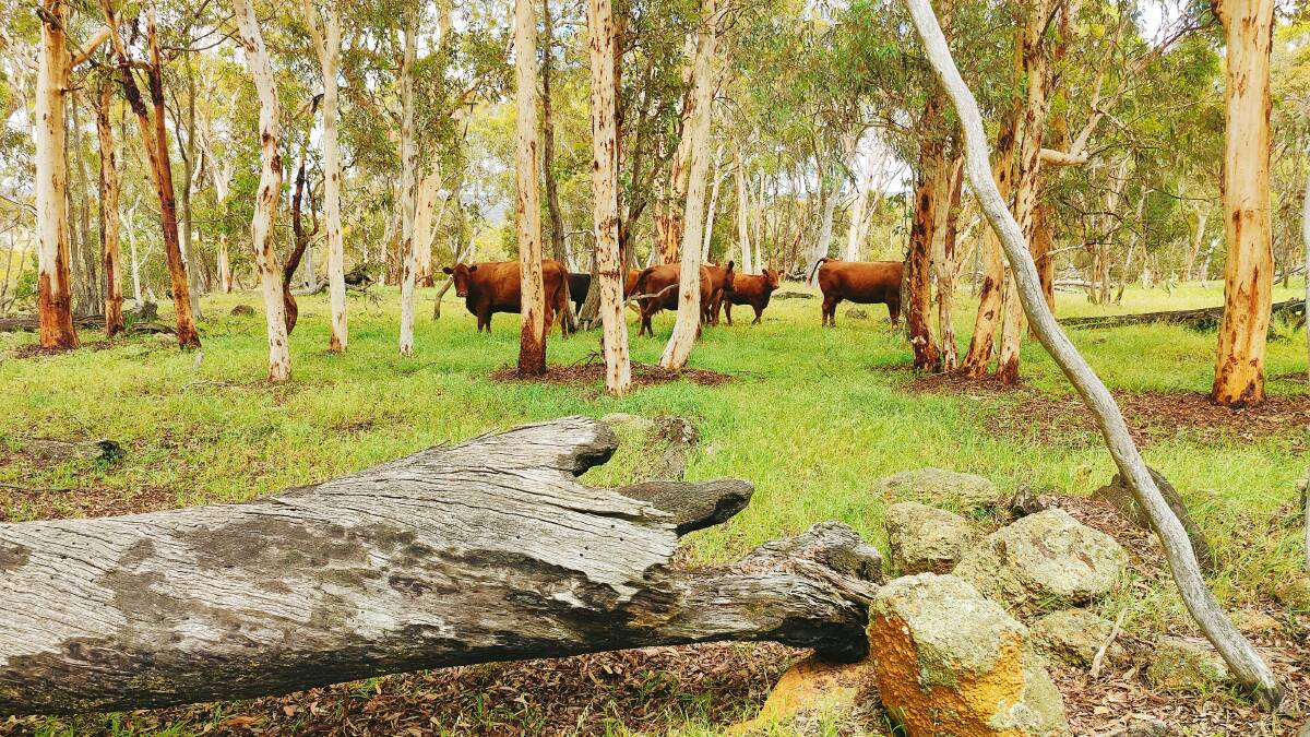 Secure this large premium land holding