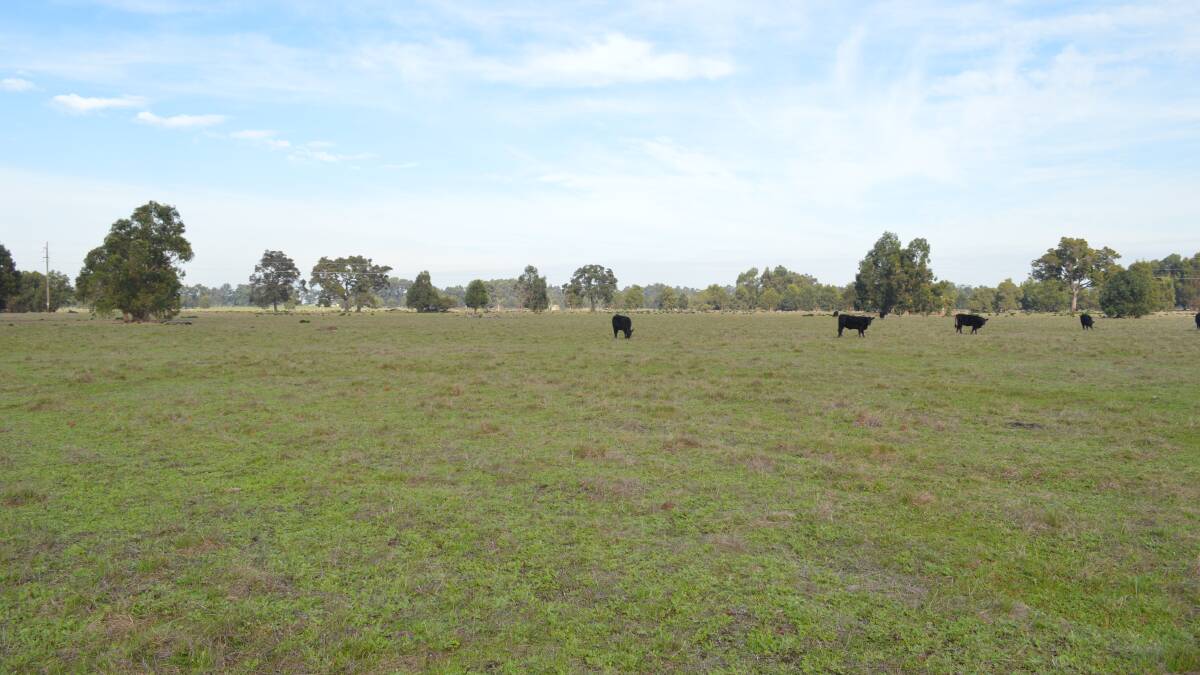 Online offers open for great grazing land