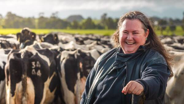 Dairy farmers looking for polled genetics offered more choices