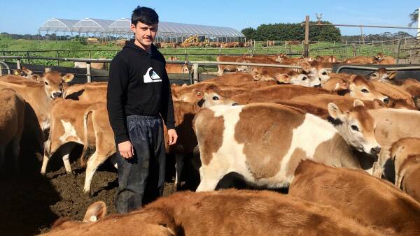 Victorian dairy farmer keen to learn in NZ