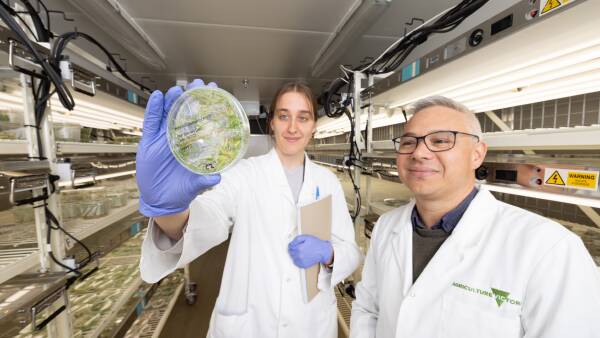 Innovation and partnerships in focus for dairy research