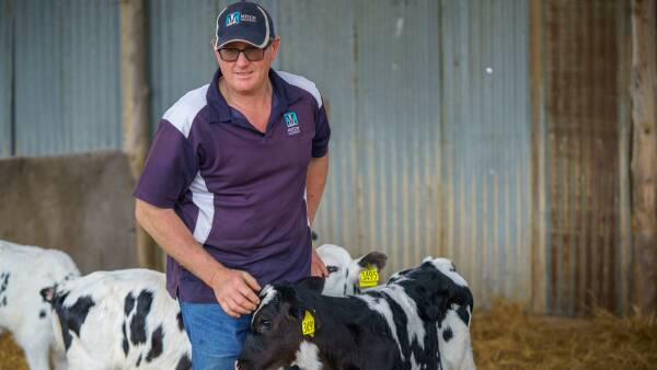 Victorian dairy farmer has a passion for registered cows
