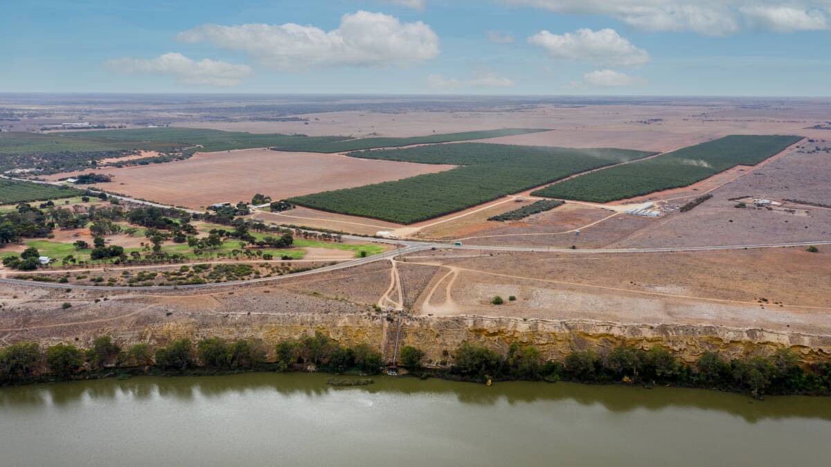 Almond farm up for grabs