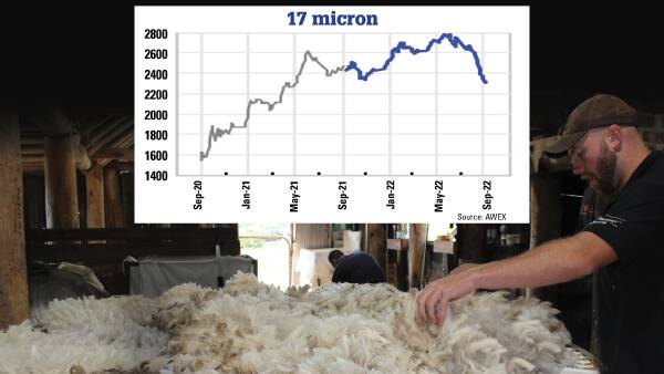 Fine wools continue dramatic fall against weakening economic backdrop