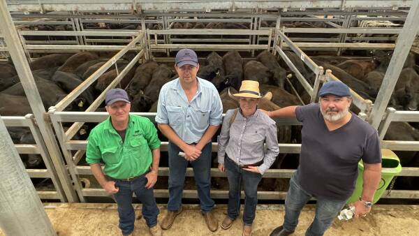 Keen support for cattle at Tamworth store sale