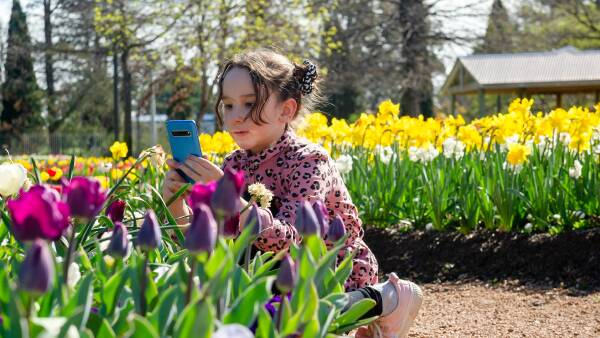 Floriade to return to Canberra after two years