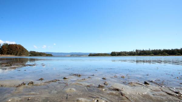 Lake Illawarra foreshore to get $150k for rehabilitation