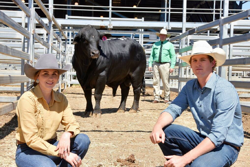Central Brangus Classic Sale Hits A High Of In Gracemere
