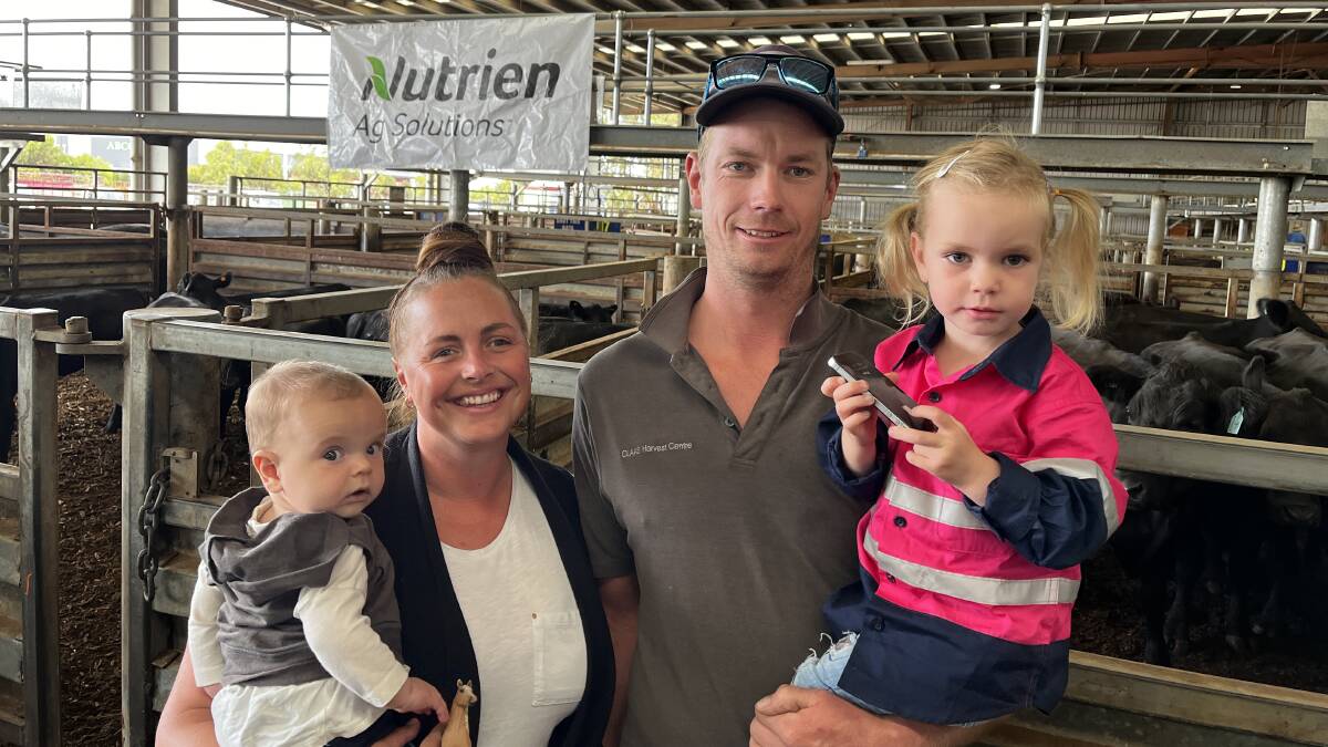 Pakenham cow and calf units to 4750 at fortnightly store sale
