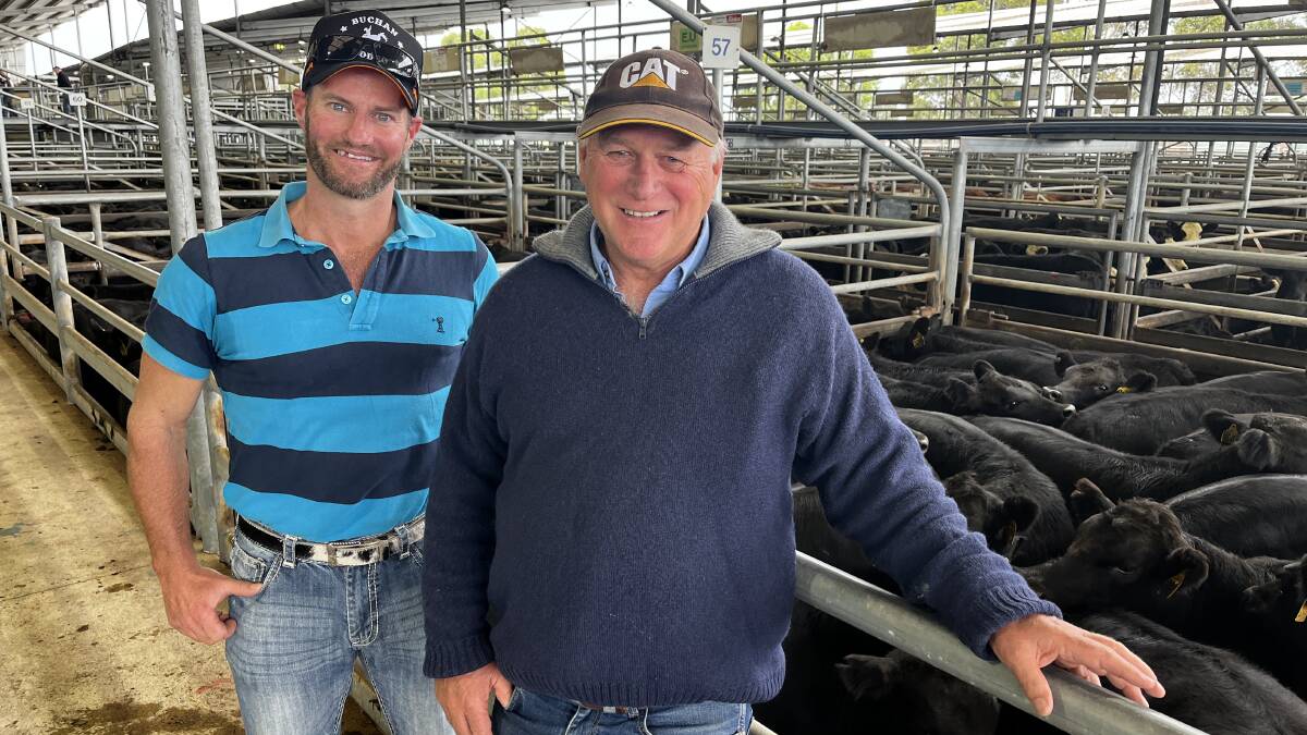 Mega Bairnsdale feature calf sale attracts broad gallery of buyers