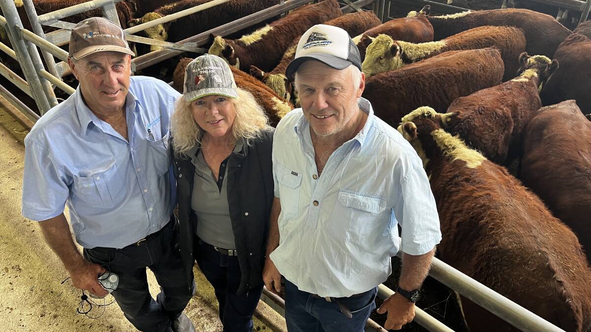 Mega Bairnsdale feature calf sale attracts broad gallery of buyers