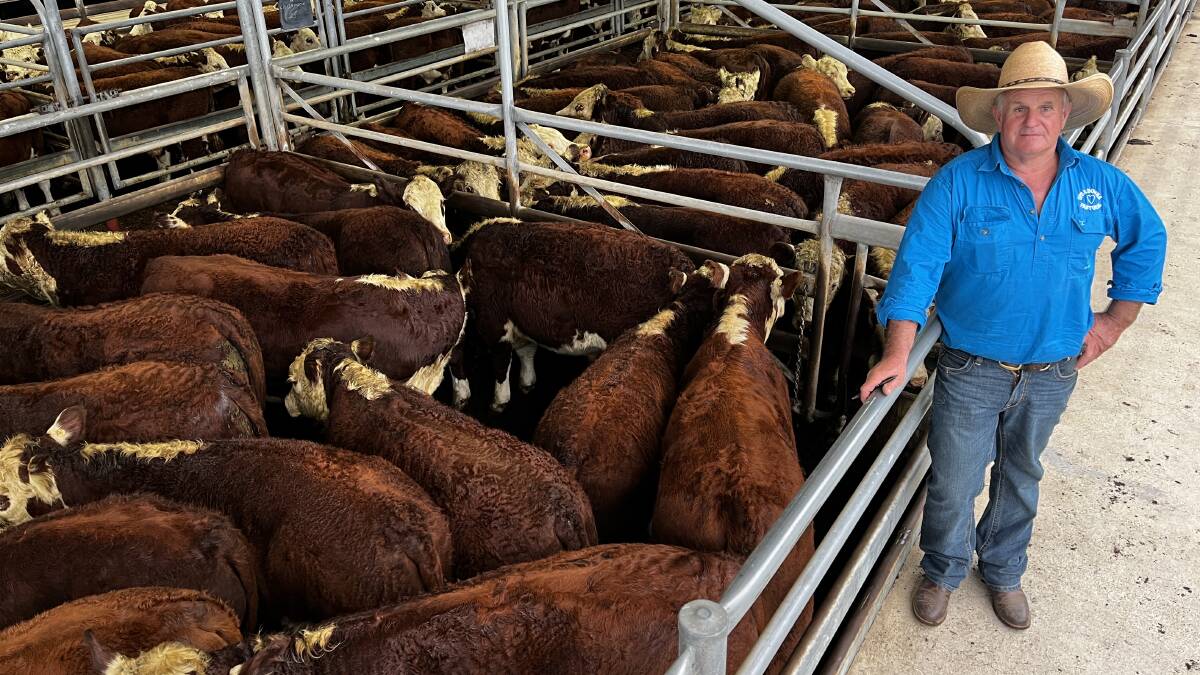 Mega Bairnsdale feature calf sale attracts broad gallery of buyers