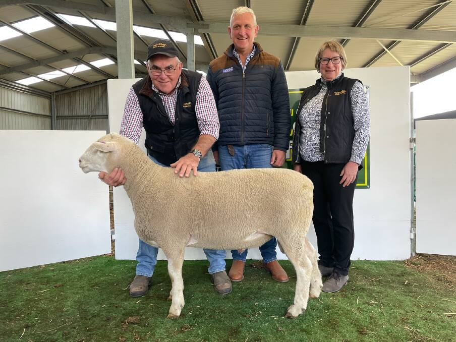 Waratah ram goes west in nostalgic sale