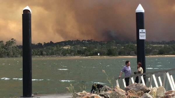 'We're going to be a catastrophe scene right here', South Coast councils foot the invoice thumbnail