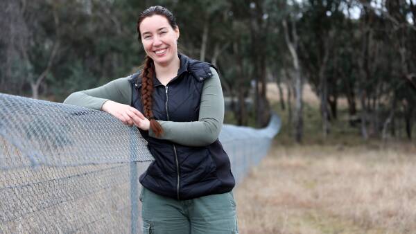 Why a 'leaky fence' and a PhD student are heroes for these native mice