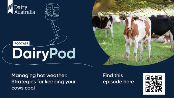 Managing heat stress in cows with genetics, feed and environmental factors